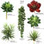 Plante grasse artificielle (ensemble de 6) 