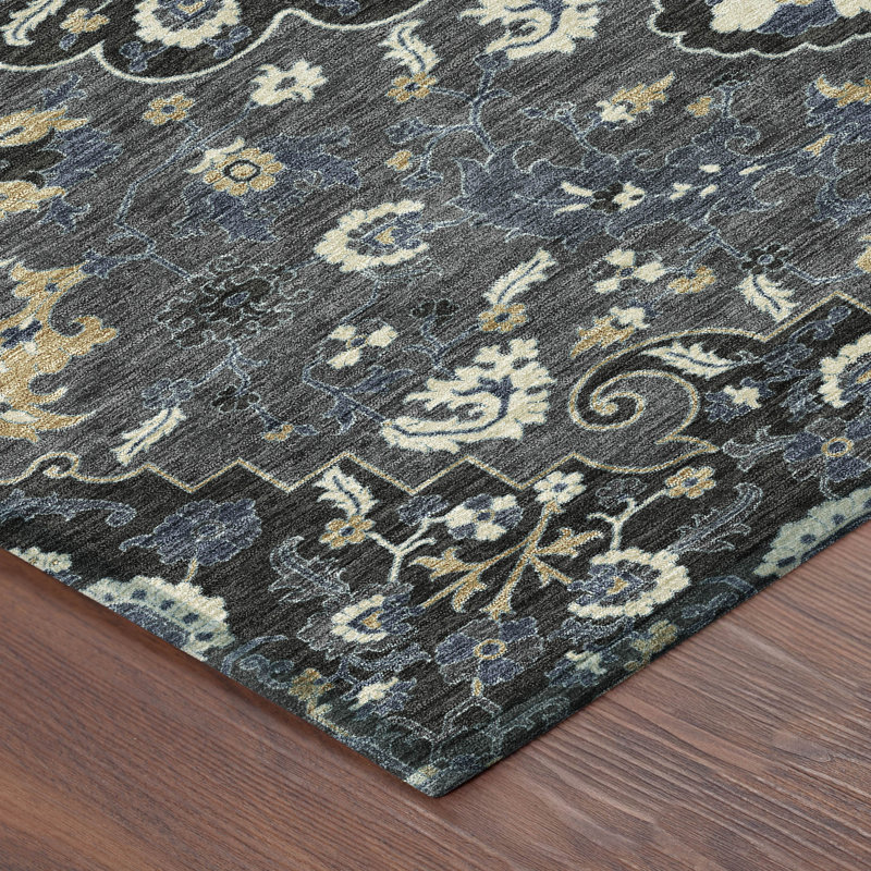 Machine Washable Indoor/Outdoor Chantille ACN2463 Traditional Rug, 10' x 14', Black