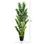 Zamioculcas artificiel-756904526