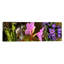 «Détails du début du printemps et des fleurs de crocus», reproduction de photo sur toile-19975606-71974557