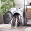 Tapis oriental lavable à la machine Bayside-373269384
