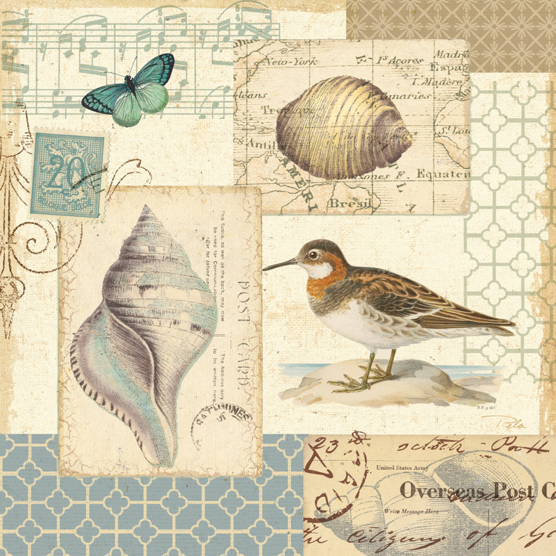 Coastal Collage II - Wrapped Canvas Print, 91cm H x 91cm W