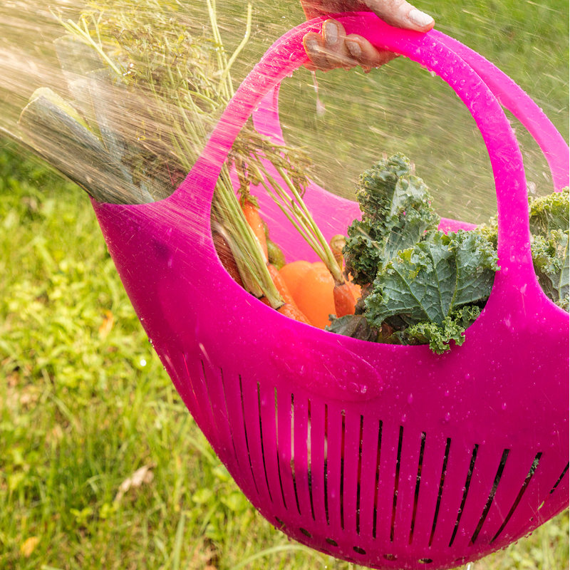 Passoire en plastique Hutzler Harvest Garden, Rose