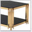Table basse rectangulaire moderne à double couche avec verre trempé et acier inoxydable, parfaite pour les salons et les bureaux