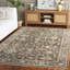 Tapis oriental Hazel 504 Performance-1262557457