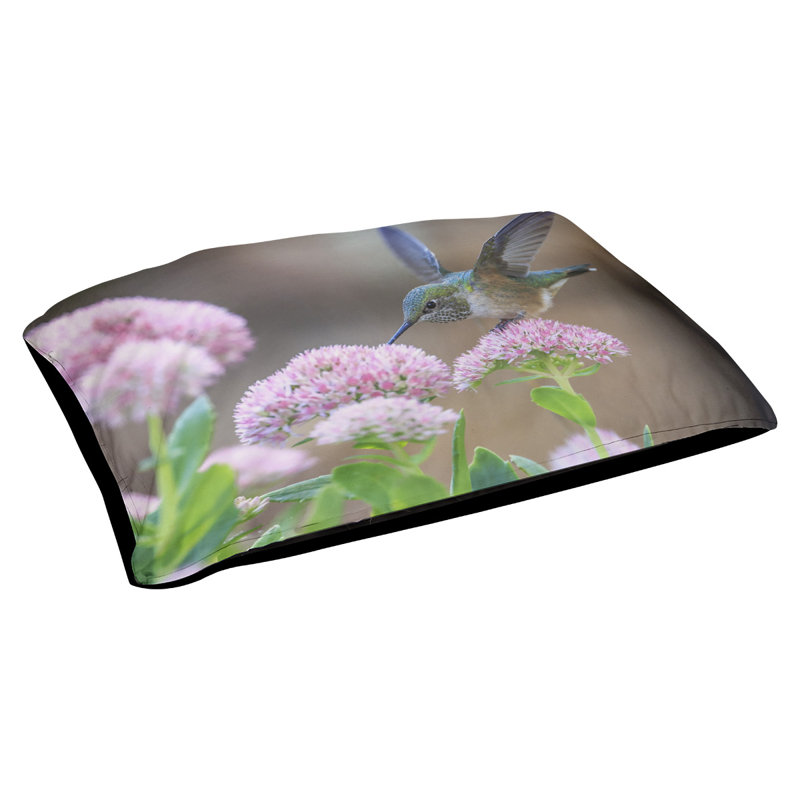 Coussin de concepteur hummingbird Burkhead, L 19,5 po x l 29,5 po, Noir