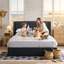 Lit plateforme tapissier Modern-357105867-357731302