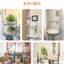 182cm Bird Play Stand