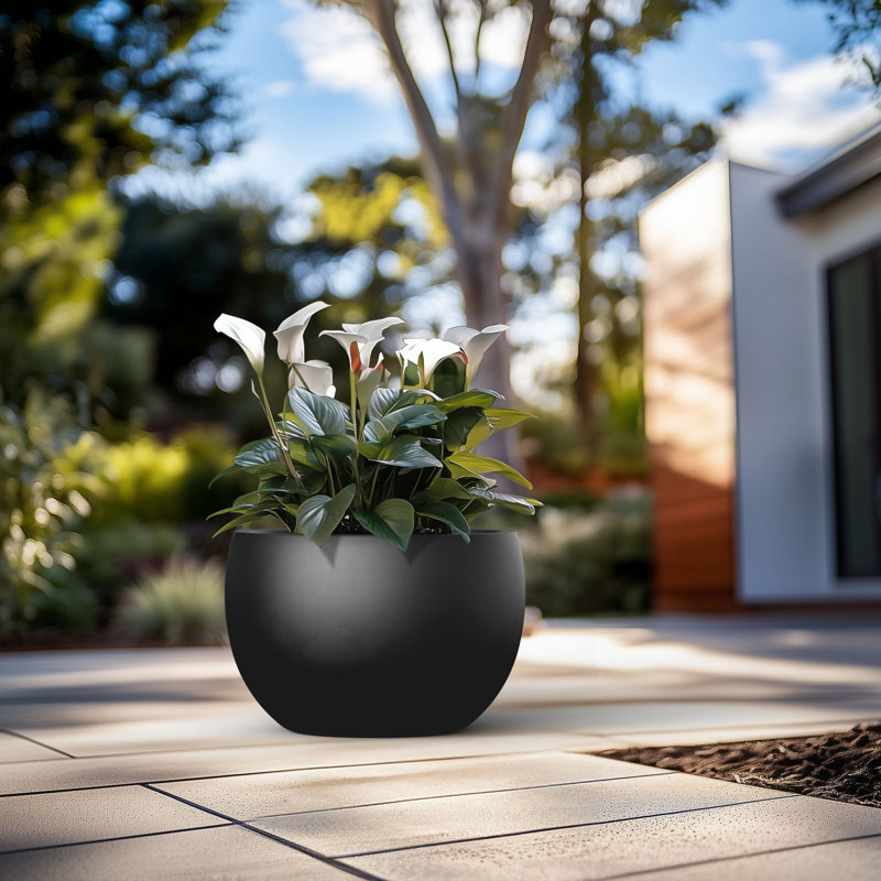 Pot à fleurs en ciment Highwoods, H 7,87 po x l 11,81 po x P 11,81 po, Noir anthracite