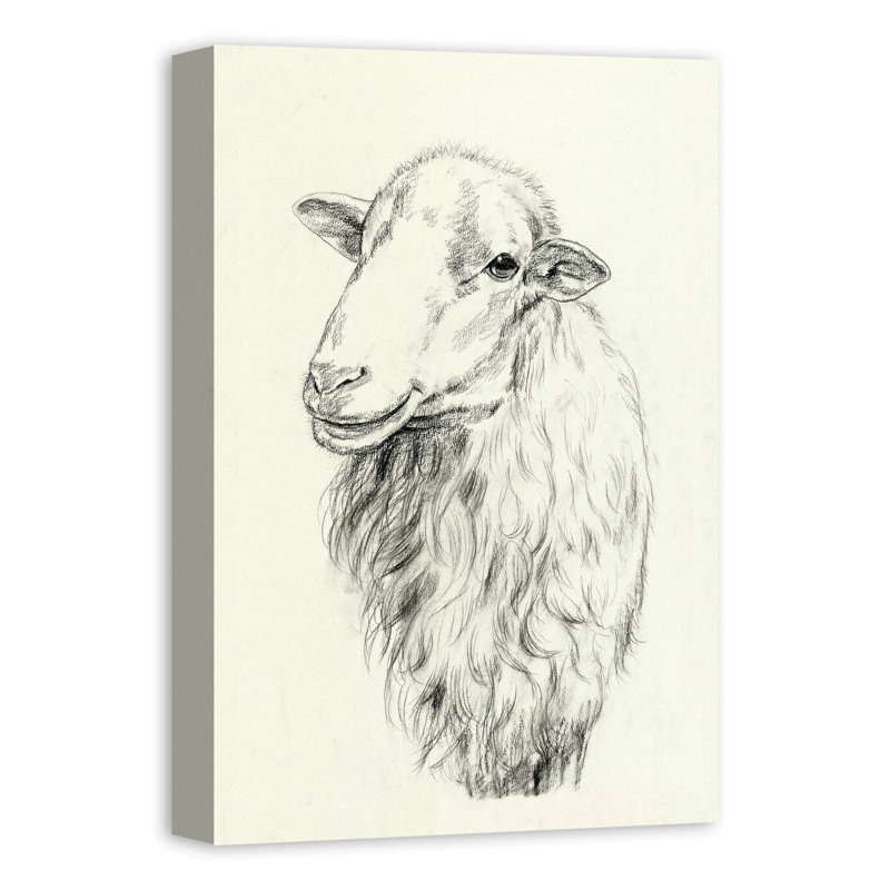« campagne mouton sketch », reproduction de dessin sur toile tendue, H 24 po x l 16 po, Cadre noir
