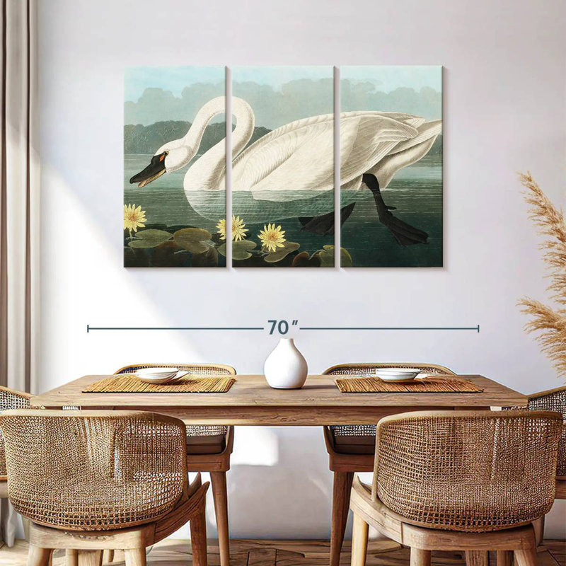 Brampt Common American Swan, 36" H x 57" W