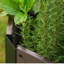  Ensemble pour lit de jardin surélevé - Boîte à fleurs à 6 panneaux aspect bois - Grand pot à fleurs pour plantes, légumes et fleurs - utilisation intérieure / extérieure sur un patio ou un balcon