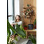 B.For Pot Planter-37904858-70004575