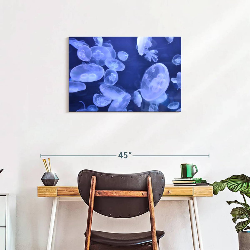 Sea Jellies, 20" H x 30" W