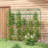 Orryn 72'' H x 71.75'' W Arched Trellis