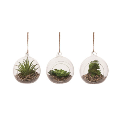  Grand / Grand ensemble de 3 plantes grasses suspendues en plastique