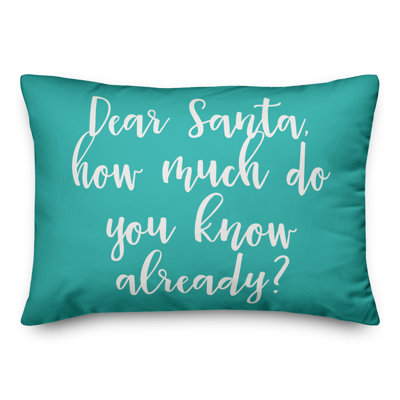  Coussin Dear Santa