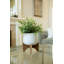 Plante de feuillage artificiel 6" en pot