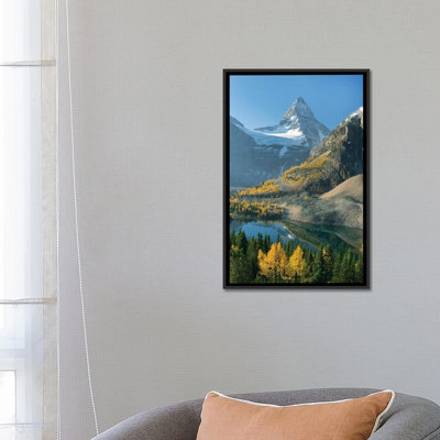 Larch Trees In Autumn Below Mount Assiniboine With Sunburst Lake, Mount Assiniboine Provincial Park, British Columbia, Canada by Kevin Schafer - Gallery-Wrapped Canvas Giclée