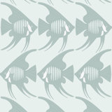 Angel Fish - Baha Blue Wallpaper