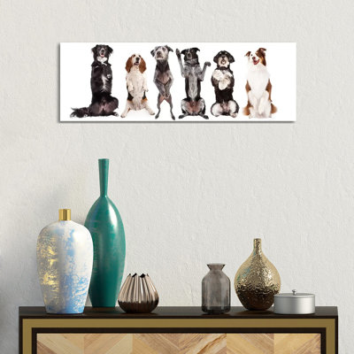 Six Dogs Standing Forward Together Begging by Susan Schmitz - Wrapped Canvas Gallery-Wrapped Canvas Giclée