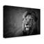 « regal lion », reproduction de photo sur toile tendue-914304519