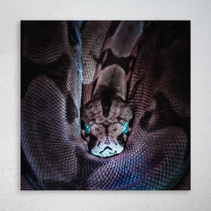 Brun et serpent noir - peinture sur toile tendue, H 16 po x l 16 po