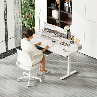 48 Inch Electric Standing Desk with 2 Drawers & Keyboard Tray, Adjustable Home Office Desk Ergonomic Sit to Stand Computer Desk with Hooks for Gaming & Work,White