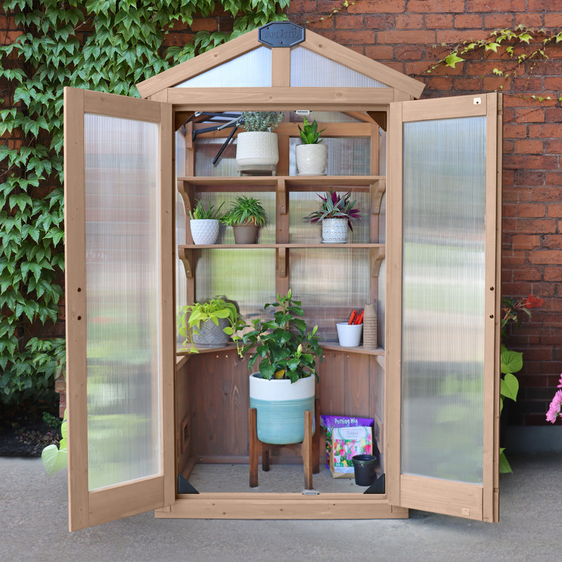 Urban Greenhouse with Cedar Wood Frame and Polycarbonate Panels Compact Modern Design for Small Spaces