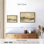 Organic Hues-1779173951-1779173937