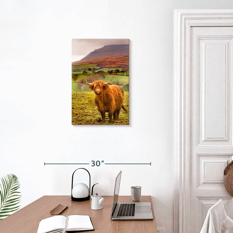 Brampt Bowland Highland Cow, H 24 po x l 16 po