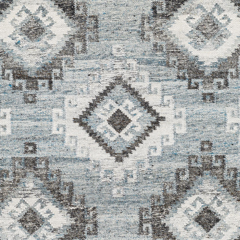 Ashlee Southwestern Indoor / Outdoor Rug, Runner 2'6" x 08'
