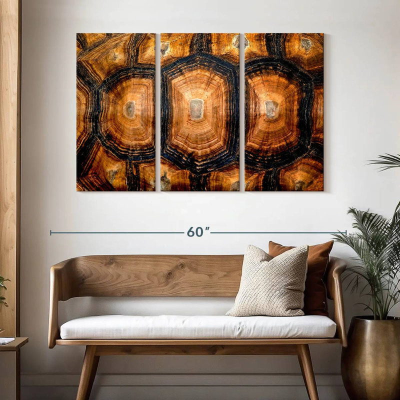 Turtle Shell, 32" H x 50" W