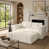Beige White Corduroy est en rupture de stock