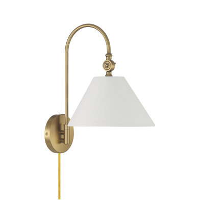 Meridian 1-Light Wall Sconce in Natural Brass
