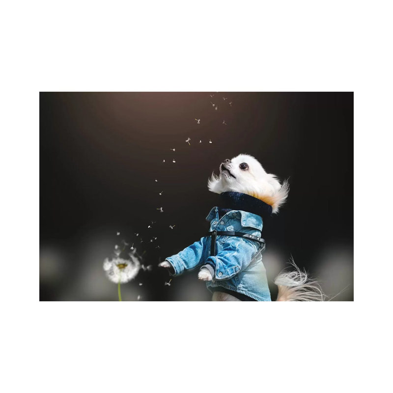 Fluffy by Lienjp - Wrapped Canvas Print, 101.6 cm H x 66.04 cm W x 1.91 cm D
