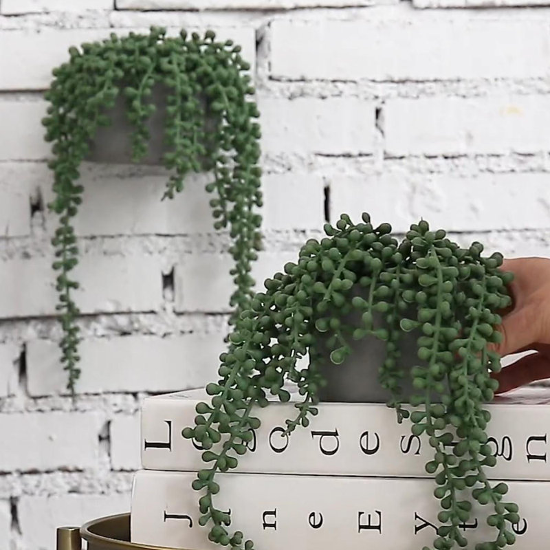 Plant Wall Décor Set