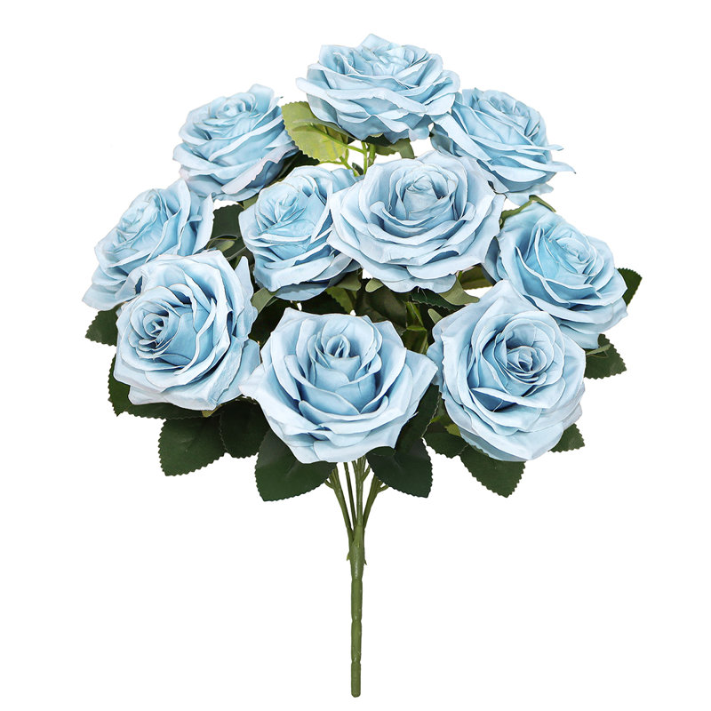 Grand rosier Jaafer Deluxe, Bleu ciel