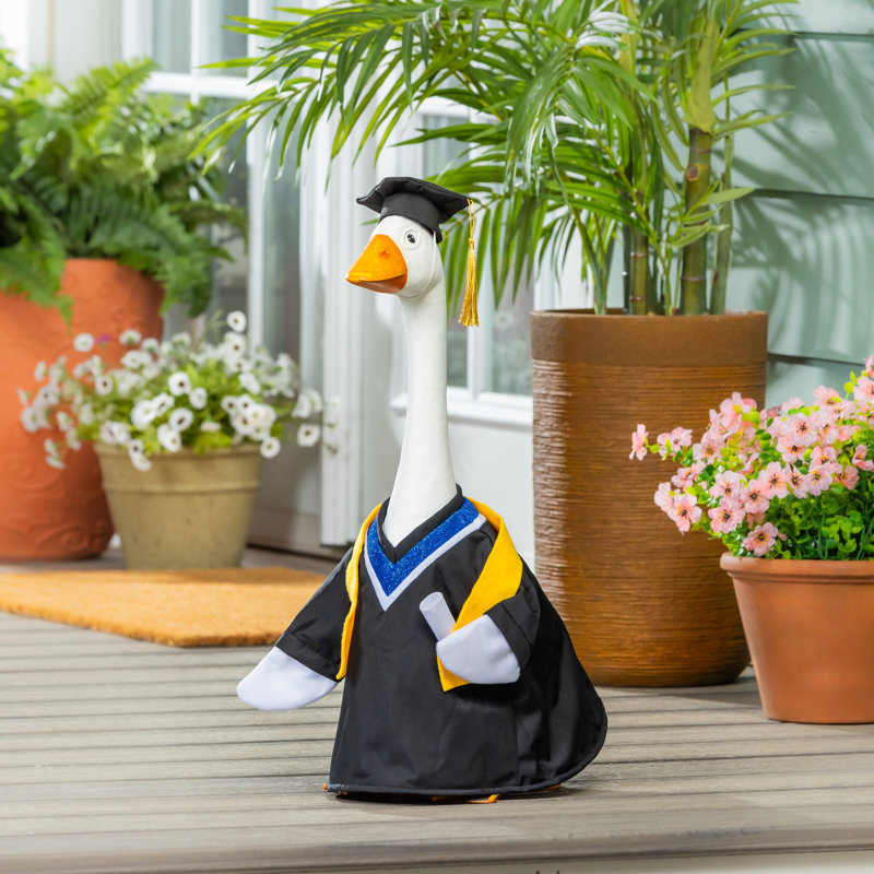 Porch Goose Outfit, Graduation Day, Graduation Gown