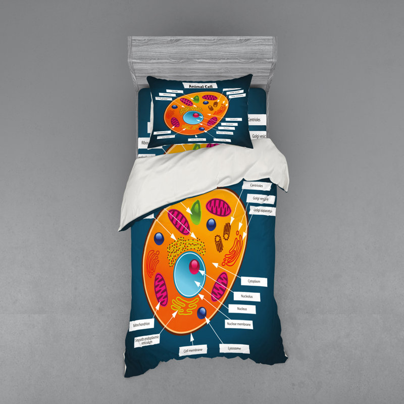 Modern & Contemporary Duvet Cover, Twin XL Duvet Cover + 2 Additional Pieces