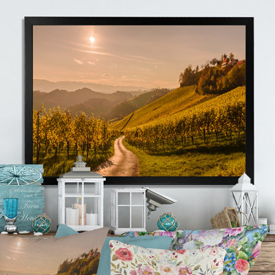 " Tuscana Wine Scenery In Summer "
