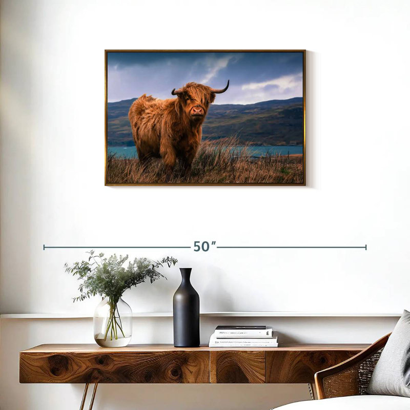 Grande vache Highland, Cadre flottant doré, 31 po x 21 po