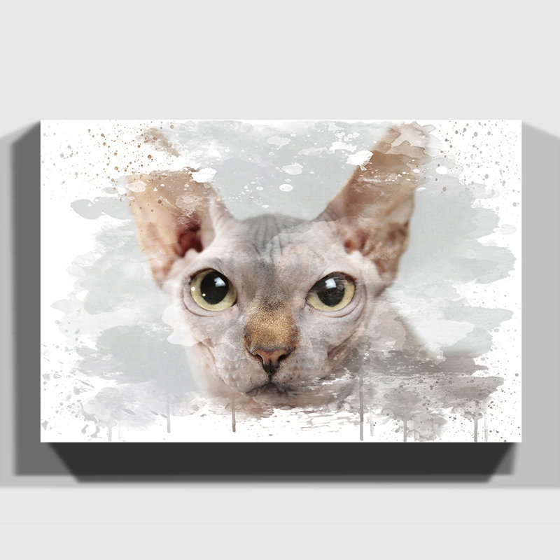 Sphynx Cat - Wall Art, 70cm H x 100cm W, Wrapped Canvas