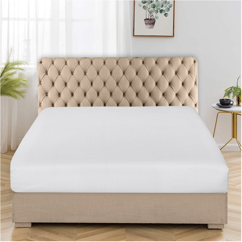 Amilda Polycotton Fitted Sheets, Double (4'6), White