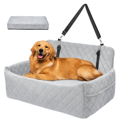 Dog House