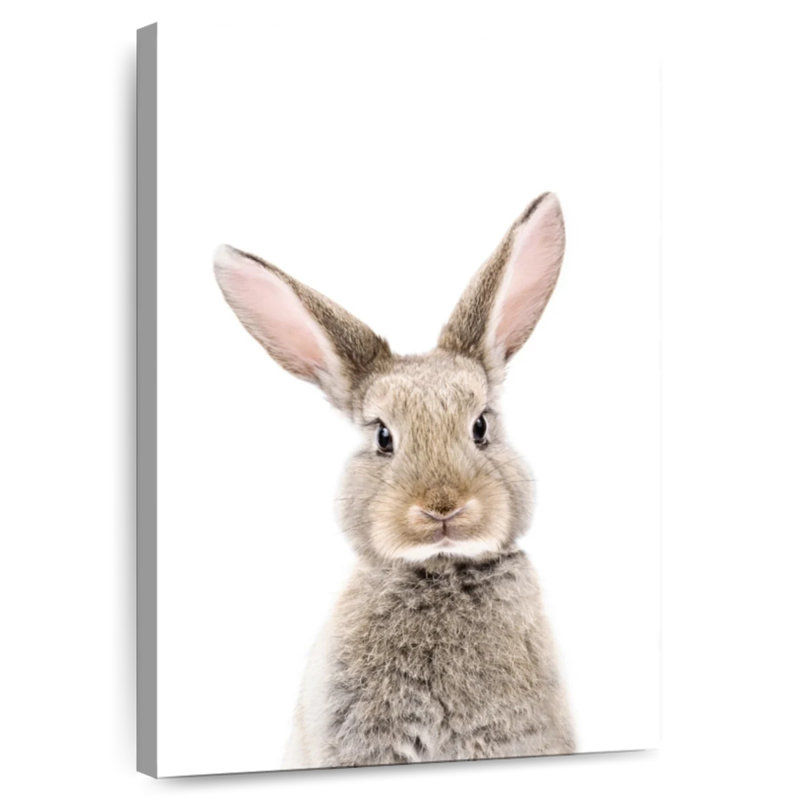 Brampt Baby Bunny, 36" H x 24" W