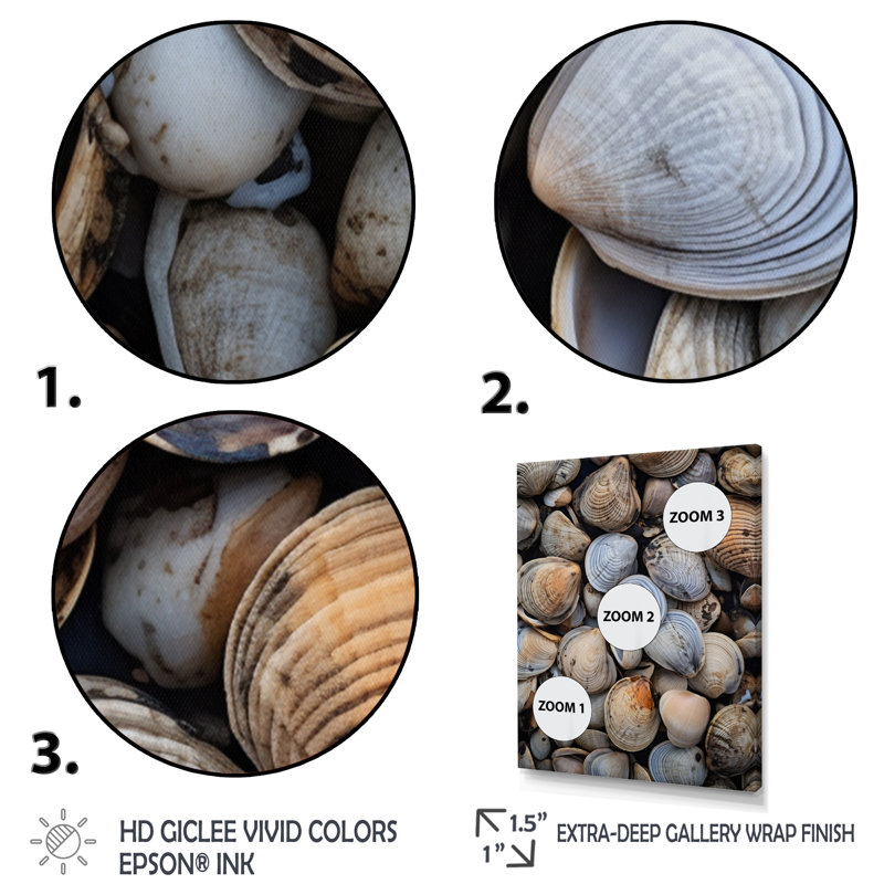 «Lakari Grey Clam Coastal Harmony IV», reproduction sur toile, H 44 po x l 34 po x P 1,5 po, Cadre flottant noir