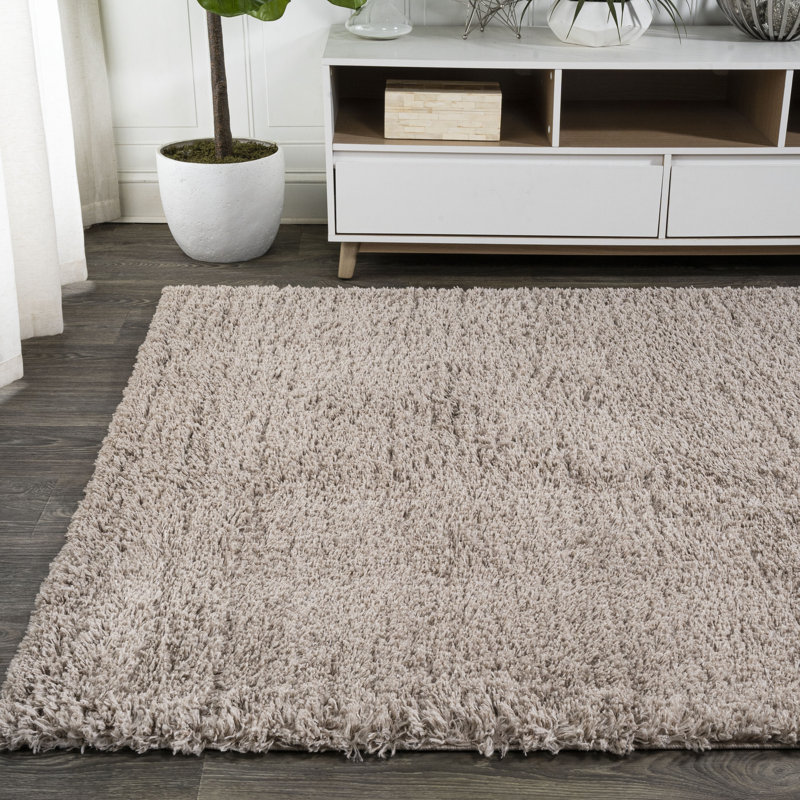 Anttwan Solid Shag Beige Rug, Rectangle 3'11" x 5'11"