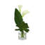 Succulentes et lys Calla disposés dans un vase en verre
