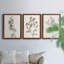 Neutral Botanical Study I - Ensemble de 3 reproductions d'art sur toile-1870357607-1870357600